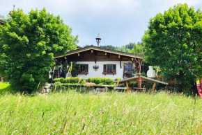 Almliesl JOTI-687, Sankt Johann in Tirol